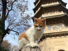 -灵谷景区
