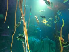 -沈阳海洋探索中心