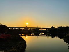 -宝安西湾红树林湿地公园