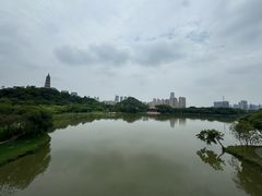-顺峰山公园