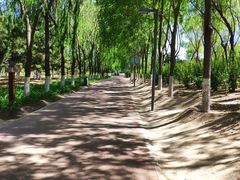 -大兴滨河森林公园