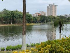 -映月湖公园
