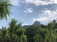 -伏羲大峡谷