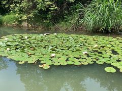 -天台山琼台仙谷景区