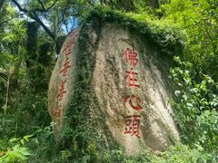 -青芝山风景名胜区