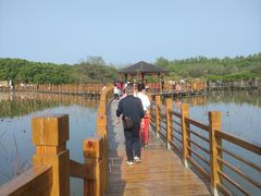 -大湾区中央湿地公园