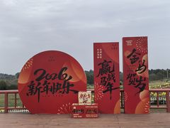 -空港花田景区