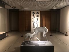 -六朝博物馆