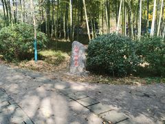 -紫金山山顶公园