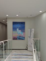 -上海漾颜医疗美容