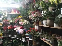 -静岸花卉园艺(三星坊店)