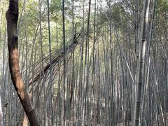 -敬亭山风景名胜区