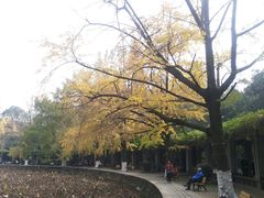 -四川大学(华西校区)