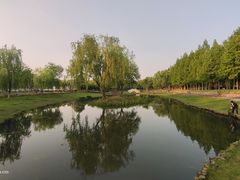 -武昌江滩