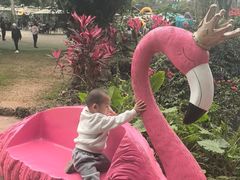 -海南热带野生动植物园