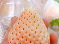 -Olé精品超市(广州太古汇店)