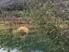 -天河潭旅游度假区