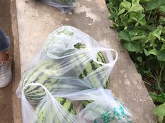 -庞各庄翠芳园西瓜蔬菜基地采摘园