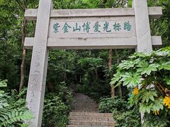 -紫金山山顶公园