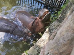 -海南热带野生动植物园