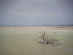 -盐湖景区