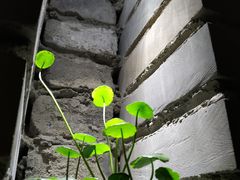 -鱼桥巷·美学川菜