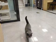 -中农大我爱我爱动物医院·核磁CT·猫病·24小时夜诊中心(石佛营店)