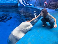 -海合安成都极地海洋公园