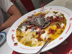 -禄鼎记·排队俩小时都要吃的酸菜鱼(石牌桥店)
