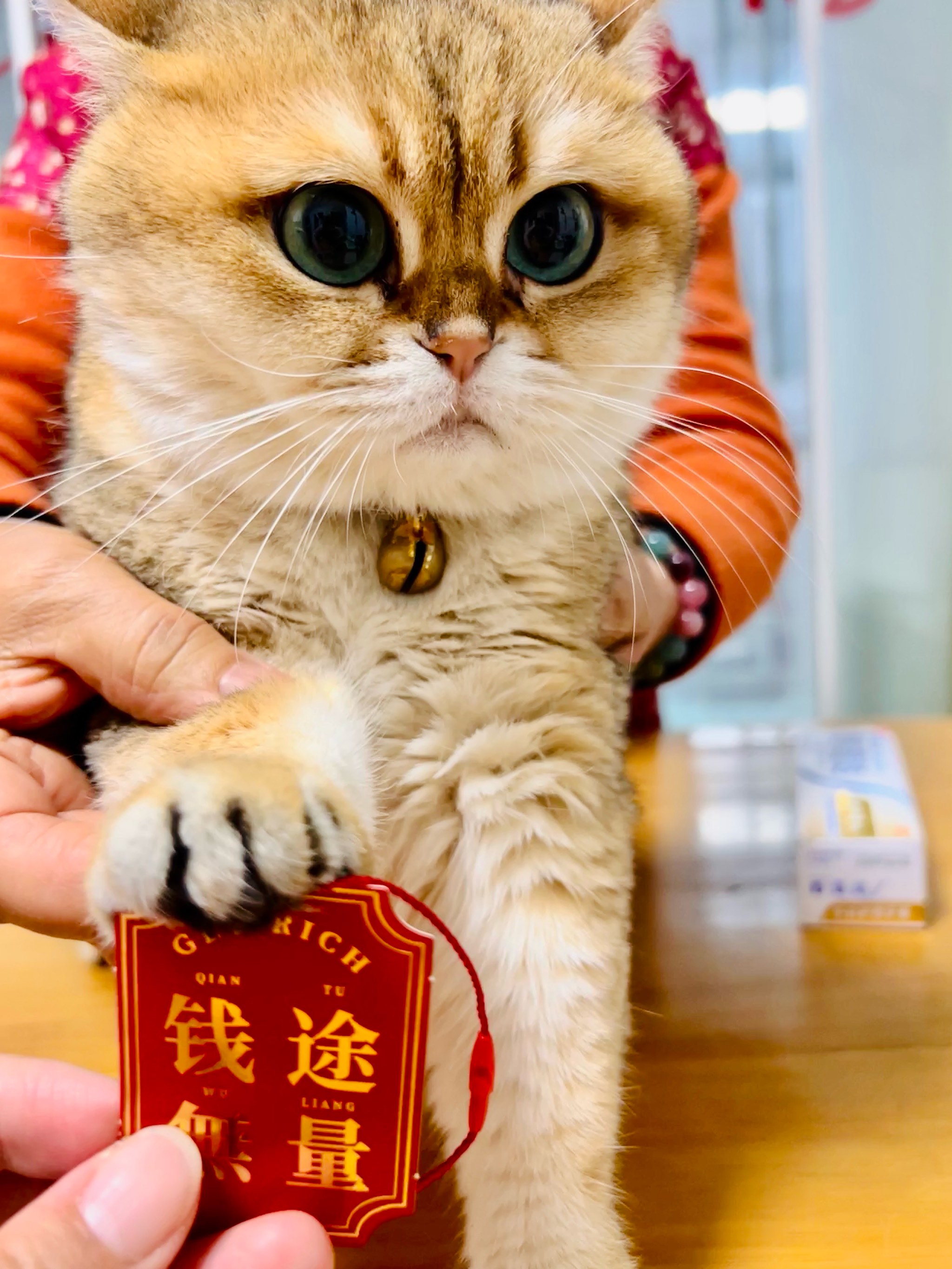 摆地摊赚钱发财也大有技巧(摆地摊赚钱发财也大有技巧的句子)