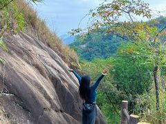 -广州白江湖森林公园