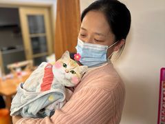 -田螺阿姨自营月嫂·育儿嫂(高新店)