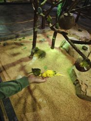 -酷嗒动物文化乐园(cutezoo西溪乐天城店)