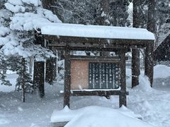 -北海道神宫