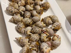 -华盛丰温州大排档(东三环南路店)