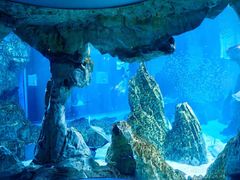 -海合安成都极地海洋公园