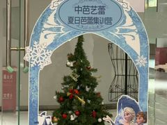 -中央芭蕾舞团·中芭艺蕾(酒仙桥明星校区)