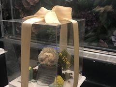 -杜哈夫DOUX RÊVE·生日蛋糕(日月光店)