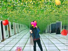 -印象莫奈时光映迹艺术展