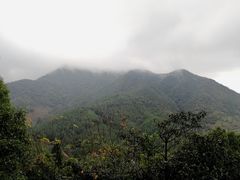 -灵栖洞天