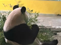 -杭州野生动物世界