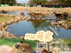-盈香心动乐园