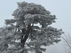 -秦岭终南山世界地质公园翠华山景区