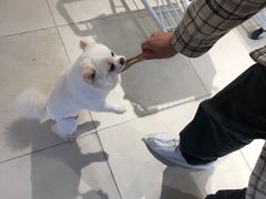 -怪兽屋·羊驼·猫咖·狗咖(俊华广场店)