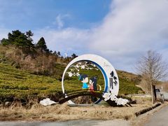 -东白山