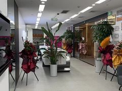 -新东方斯芬克艺术留学作品集培训(郑州校区)