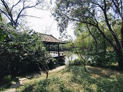 -西溪国家湿地公园