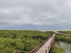 -北海金海湾红树林生态旅游区