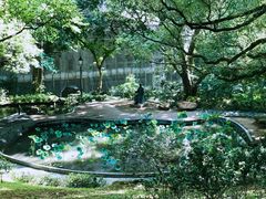 -香港大学
