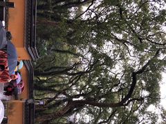 -普陀山风景名胜区-法雨禅寺